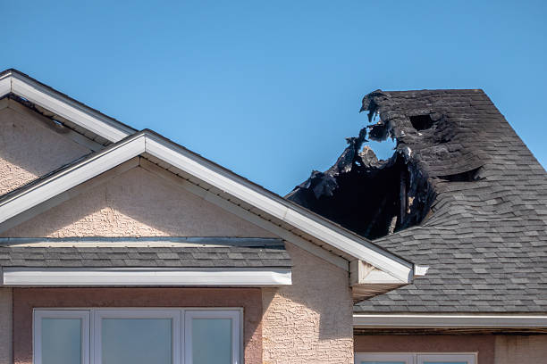 Top rated local Board Up Services specialists in Elko New Market, MN